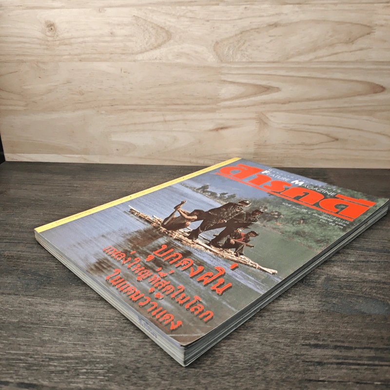 Feature Magazine สารคดี ฉบับที่ 102 ปีที่ 9 ส.ค.2536 รูปที่ 4