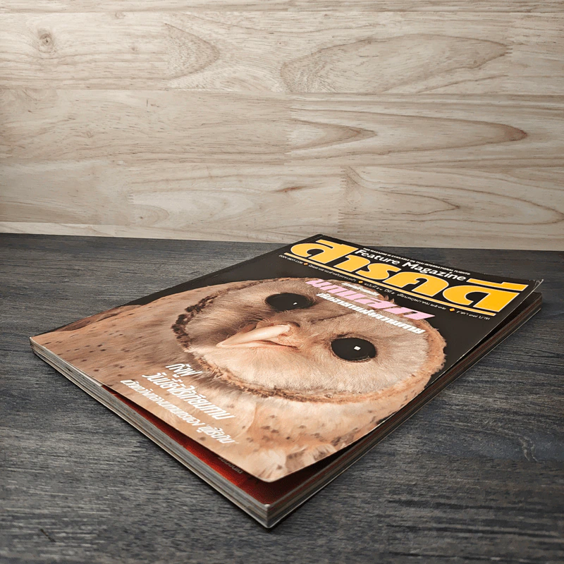 Feature Magazine สารคดี ฉบับที่ 51 ปีที่ 5 พ.ค 2532 รูปที่ 4