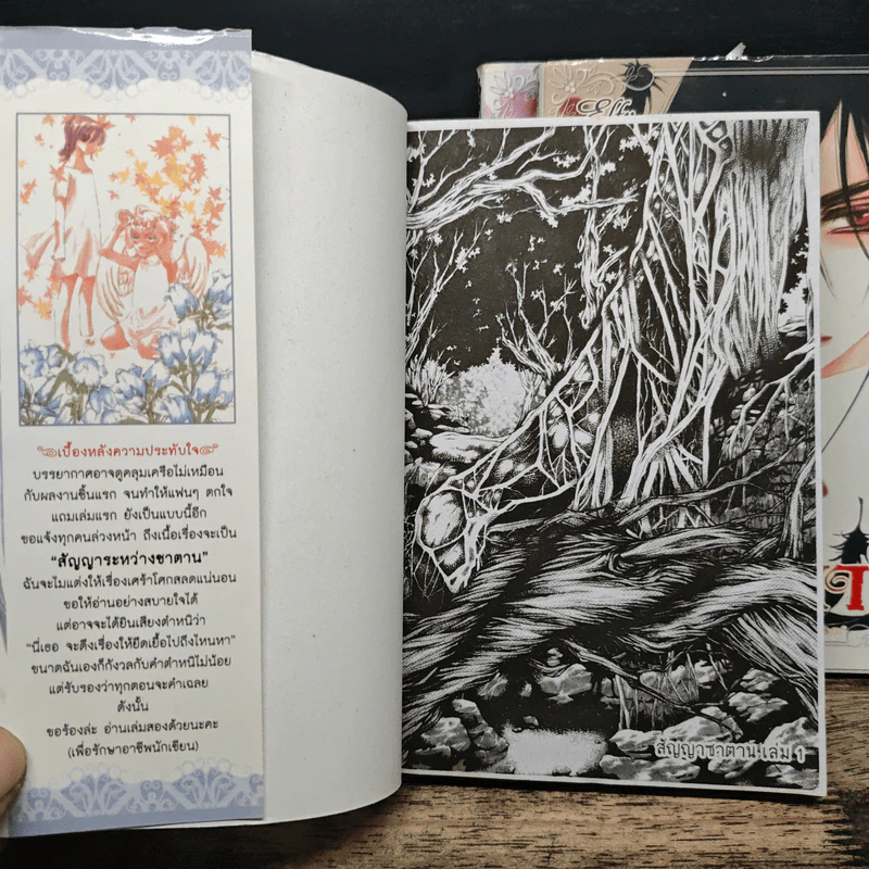 การ์ตูนวาย สัญญาซาตาน เล่ม 1-3 รูปที่ 6
