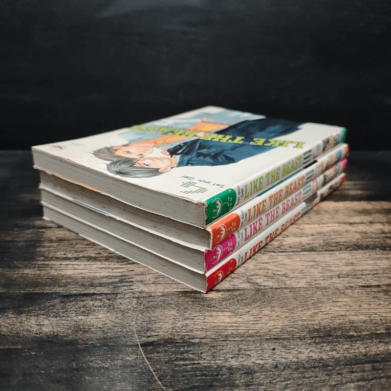 การ์ตูนวาย Like The Beast เล่ม 1-4 รูปที่ 4