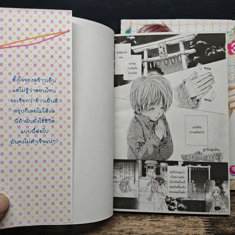 Dream becomes love ผูกรัก...ผูกฝัน เล่ม 1-3 รูปที่ 5