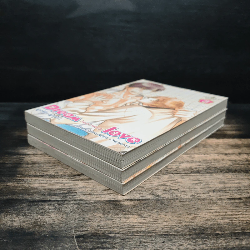 Dream becomes love ผูกรัก...ผูกฝัน เล่ม 1-3 รูปที่ 3