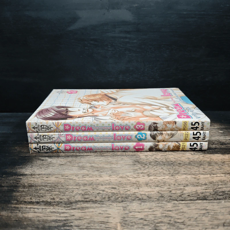 Dream becomes love ผูกรัก...ผูกฝัน เล่ม 1-3 รูปที่ 2