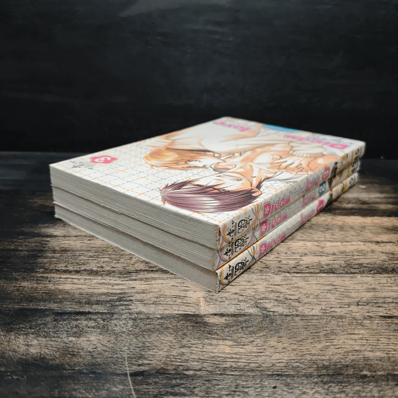 Dream becomes love ผูกรัก...ผูกฝัน เล่ม 1-3 รูปที่ 4