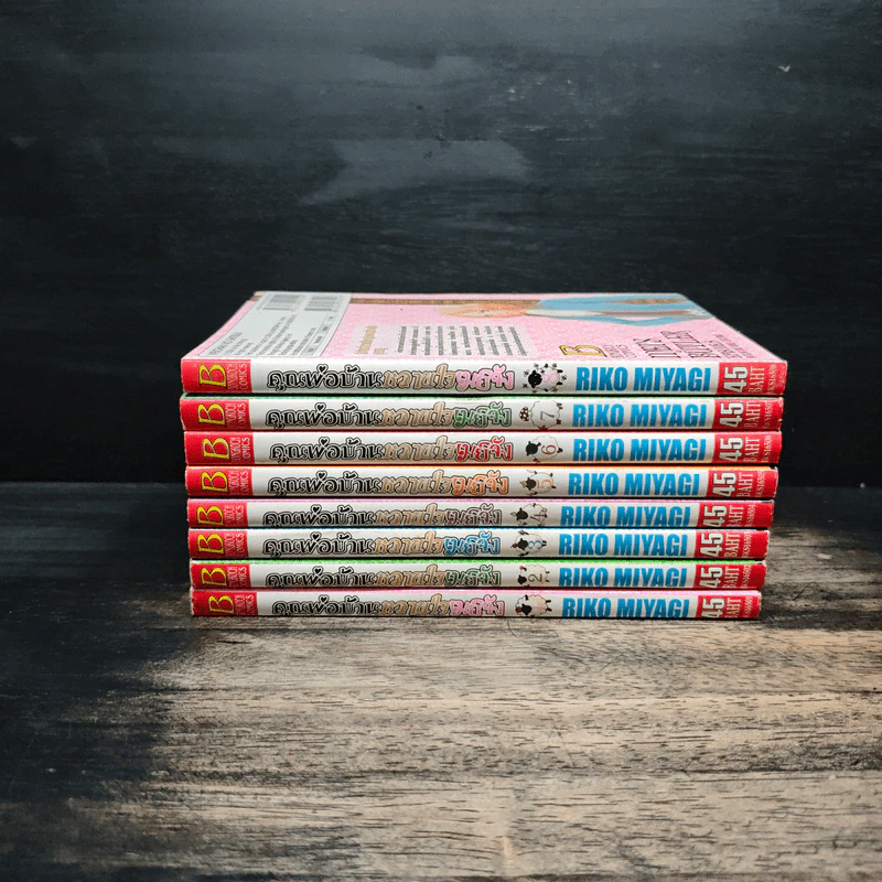 คุณพ่อบ้านหวานใจเมย์จัง เล่ม 1-8 รูปที่ 2