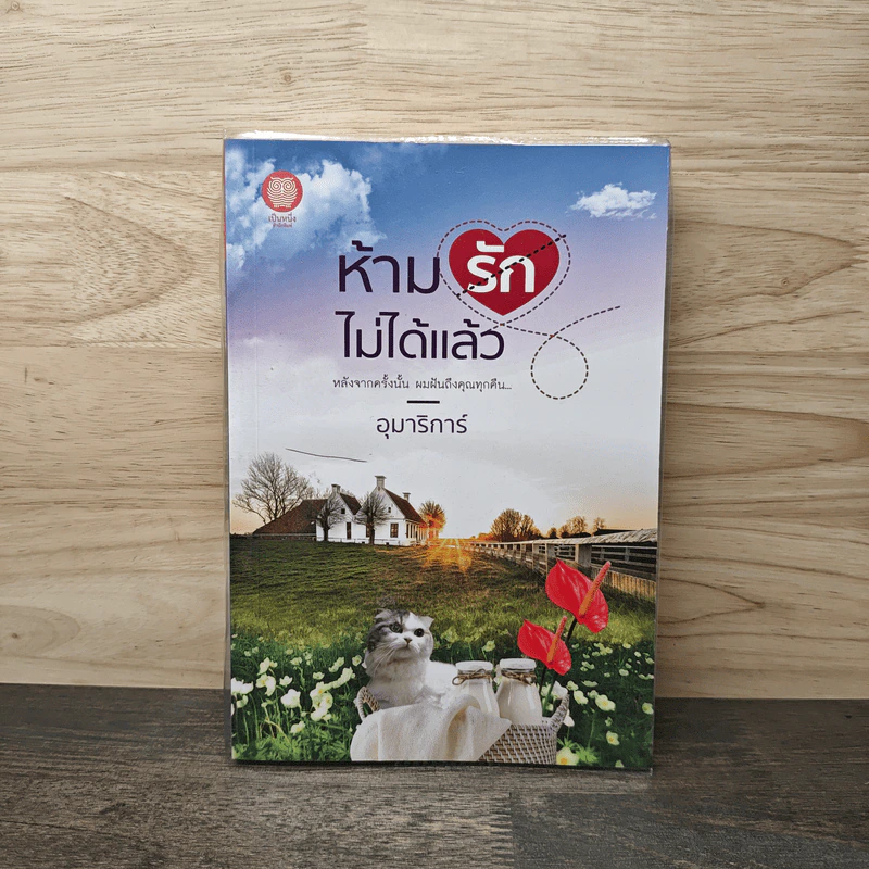 ห้ามรักไม่ได้แล้ว - อุมาริการ์ รูปที่ 1