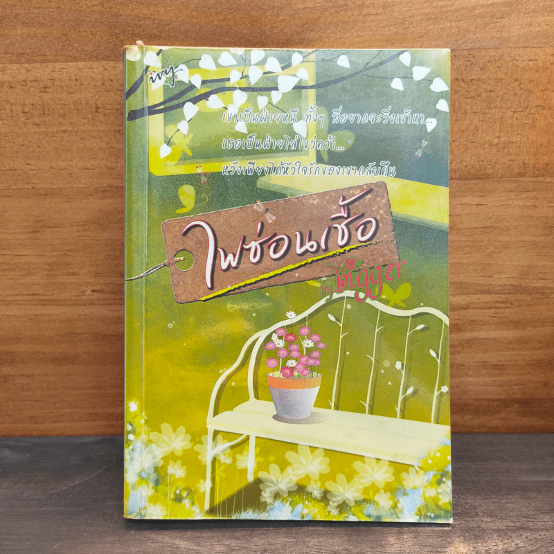 ไฟซ่อนเชื้อ - Bigger รูปที่ 1