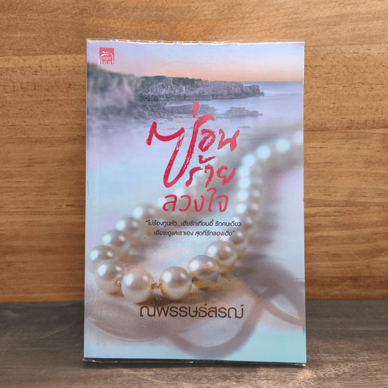ซ่อนร้ายลวงใจ - ณพรรษธ์สรฌ์ รูปที่ 1