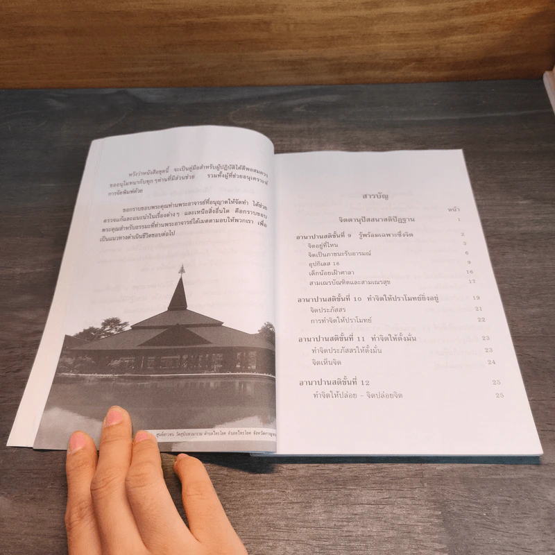 อานาปานสติ : วิถีแห่งความสุข 3 อานาปานสติ ขั้นที่ 9-16 - พระอาจารย์มิตซูโอะ คเวสโก รูปที่ 7