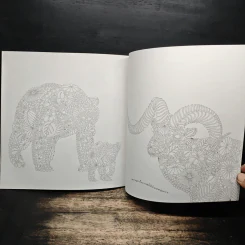 Animal Kingdom แต่งลวดลาย แต้มสีสัน เติมจินตนาการชีวิตสัตว์โลก - Millie Marotta รูปที่ 10