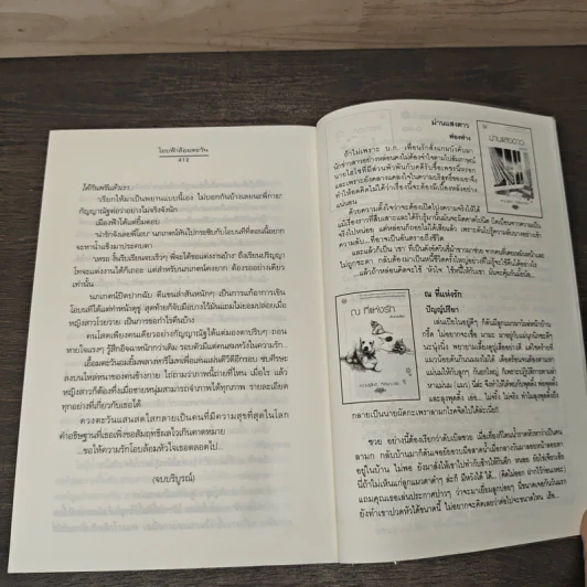 โอบฟ้าล้อมตะวัน - ปัญญ์ปรียา รูปที่ 8