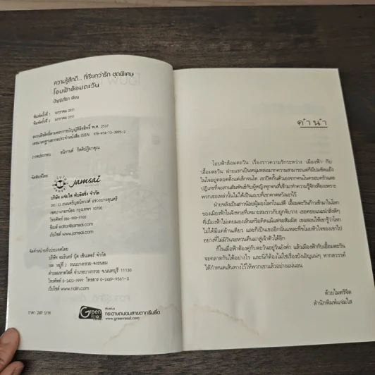 โอบฟ้าล้อมตะวัน - ปัญญ์ปรียา รูปที่ 6