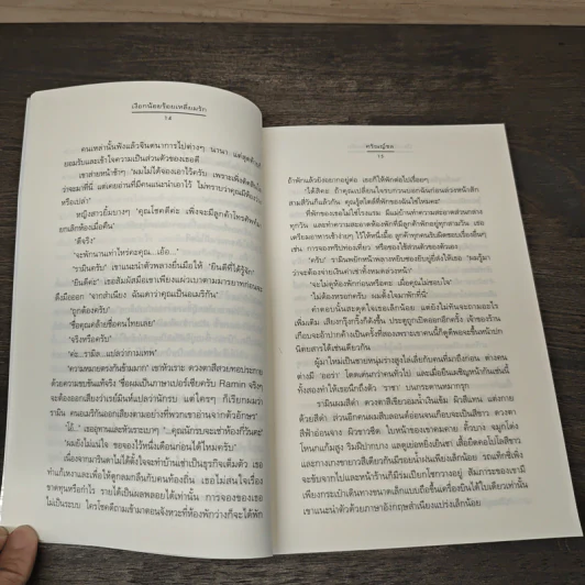 เงือกน้อยร้อยเหลี่ยมรัก - ศรัณญ์ชล (Clear Ice) รูปที่ 7