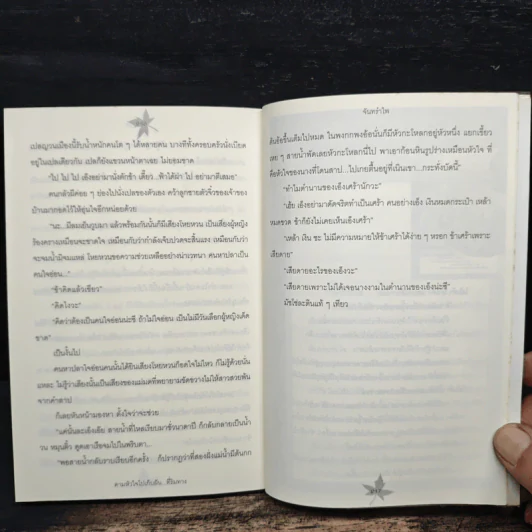 ตามหัวใจไปเก็บฝัน...ที่ริมทาง - จันทรำไพ รูปที่ 9