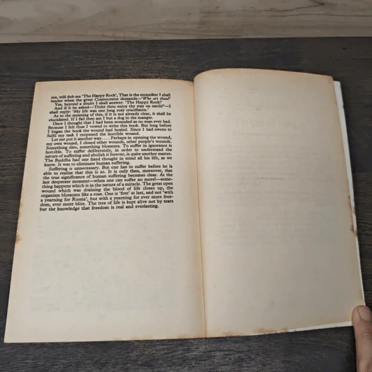 Plexus - Henry Miller รูปที่ 9
