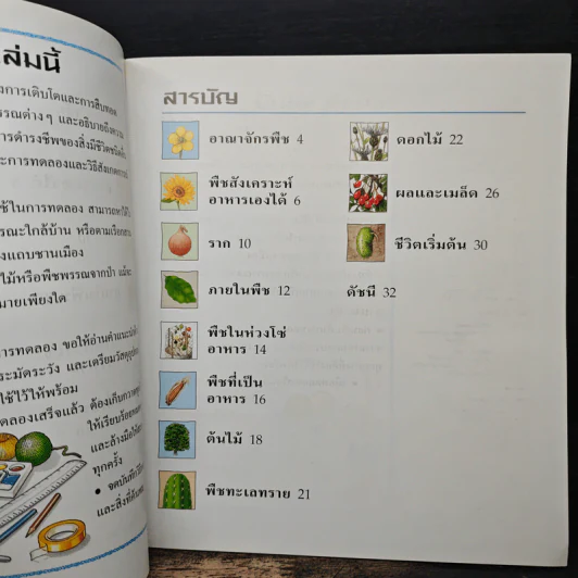 นักสำรวจน้อย ชีวิตพืช รูปที่ 7
