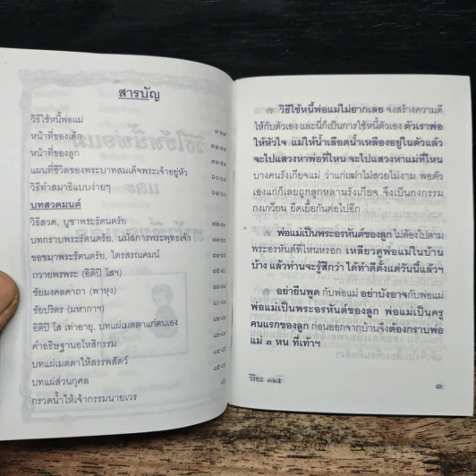 วิธีใช้หนี้พ่อแม่ และ หน้าที่ของเด็ก รูปที่ 6