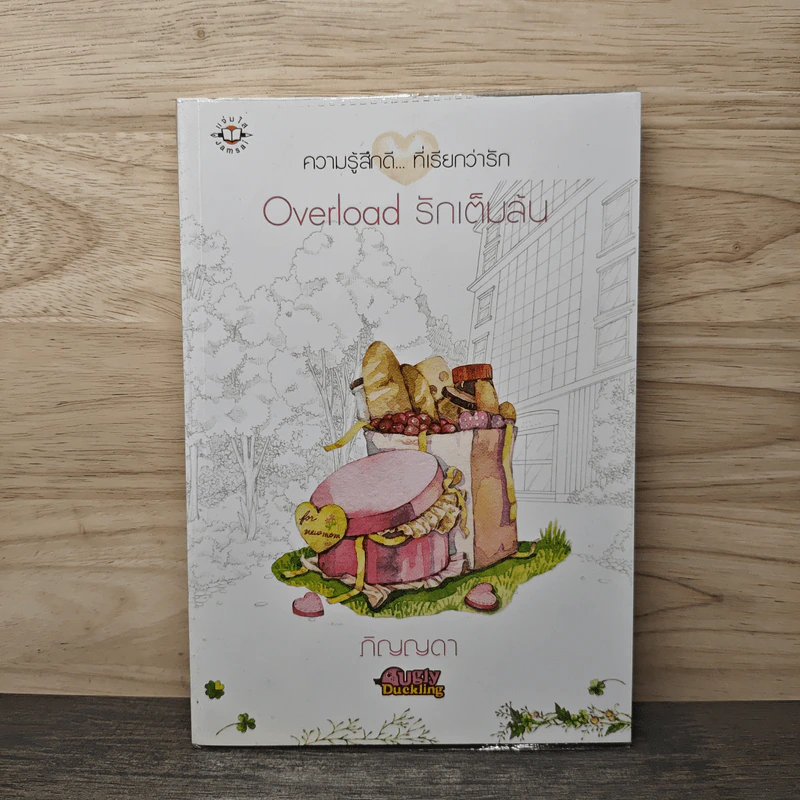 Overload รักเต็มล้น - ภิญญดา รูปที่ 1