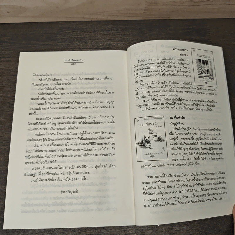 โอบฟ้าล้อมตะวัน - ปัญญ์ปรียา รูปที่ 8