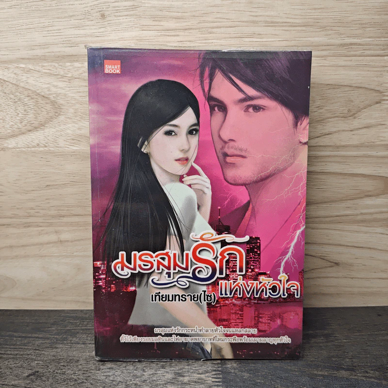มรสุมรักแห่งหัวใจ - เทียมทราย(ไซ) รูปที่ 1
