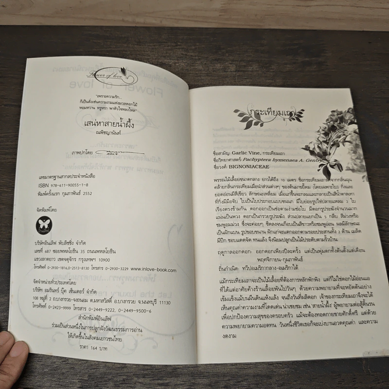 เสน่หาสายน้ำผึ้ง - ณพิชญานันศ์ รูปที่ 6