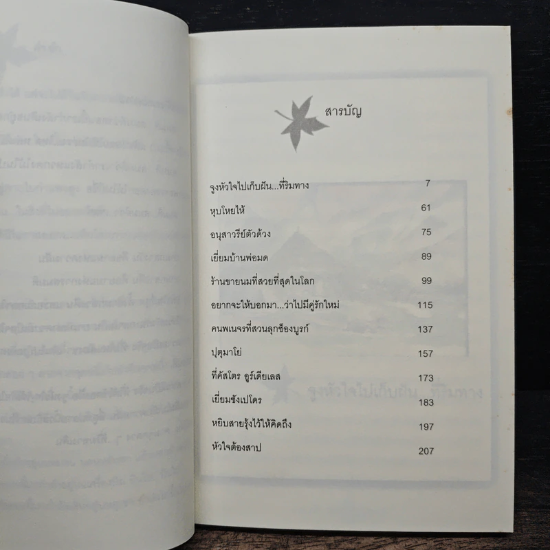ตามหัวใจไปเก็บฝัน...ที่ริมทาง - จันทรำไพ รูปที่ 7