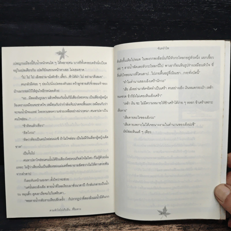 ตามหัวใจไปเก็บฝัน...ที่ริมทาง - จันทรำไพ รูปที่ 9
