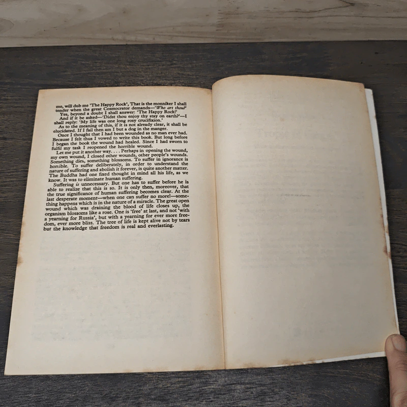 Plexus - Henry Miller รูปที่ 9