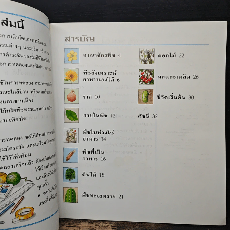 นักสำรวจน้อย ชีวิตพืช รูปที่ 7