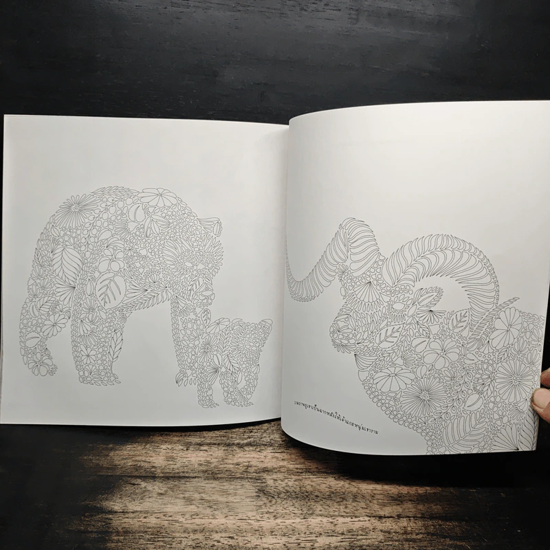 Animal Kingdom แต่งลวดลาย แต้มสีสัน เติมจินตนาการชีวิตสัตว์โลก - Millie Marotta รูปที่ 10