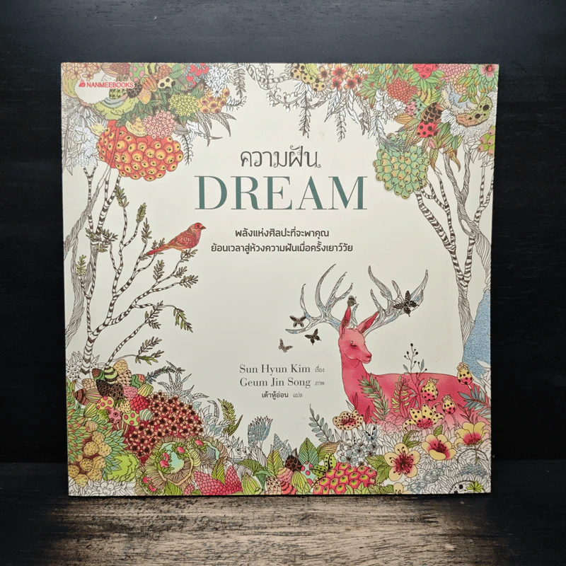 ความฝัน DREAM - Sun Hyun Kim, เต้าหู้อ่อน รูปที่ 1