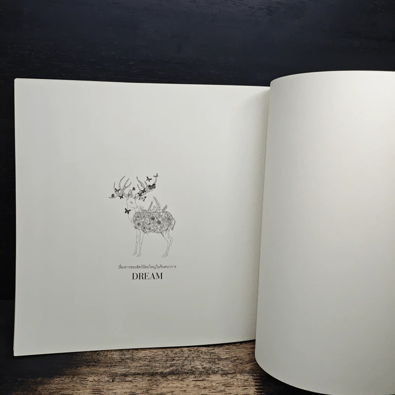 ความฝัน DREAM - Sun Hyun Kim, เต้าหู้อ่อน รูปที่ 11
