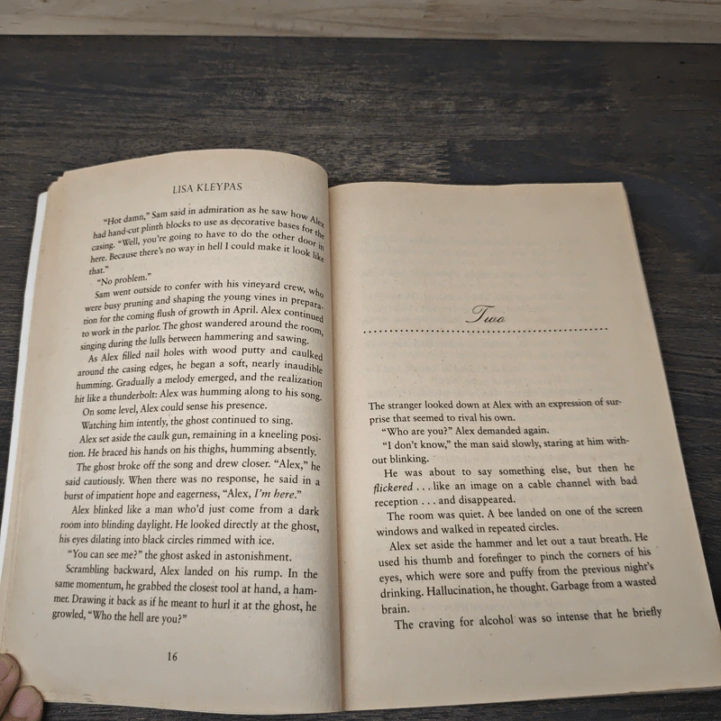 Dream Lake: A Friday Harbor Novel - Lisa Kleypas รูปที่ 6
