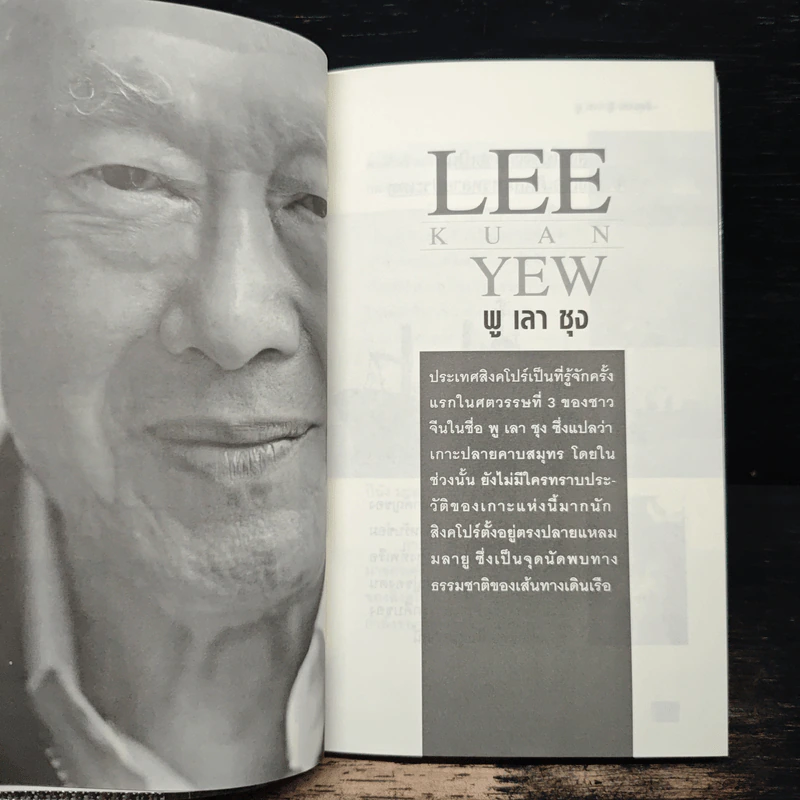 คิดแบบ ลี กวน ยู Lee Kuan Yew - วริศรา ภานุวัฒน์ รูปที่ 8