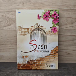 กรงรักกำแพงแค้น - ไอลดา