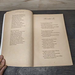 Great Tales and Poems of Edgar Allan Poe - Edgar Allan Poe รูปที่ 7