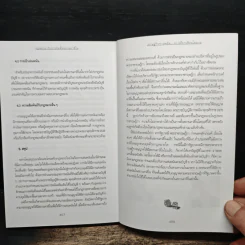 เศรษฐกิจการพนัน - สังศิต พิริยะรังสรรค์ รูปที่ 9
