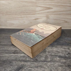 Moby Dick - Herman Melvile รูปที่ 3