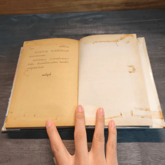 พยัคฆ์คำรน 2 เล่มจบ - ว.ณเมืองลุง รูปที่ 13
