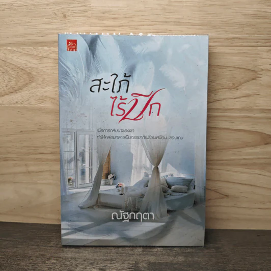 สะใภ้ไร้ปีก - ณัฐกฤตา รูปที่ 1