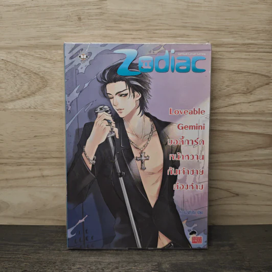 Loveable Gemini บอดี้การ์ดหน้าหวานกับเจ้าชายต้องห้าม - หัวสมองตีบตัน รูปที่ 1