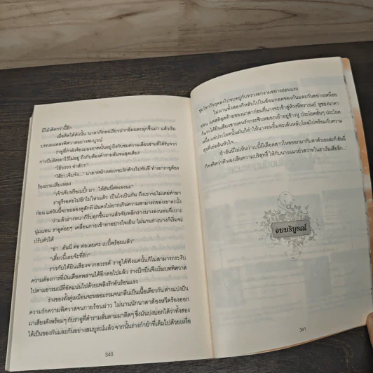 ชายานอกหัวใจ - มิ่งมาดา รูปที่ 9