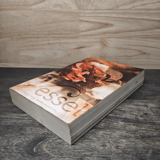 Vessel - Sarah Beth Durst รูปที่ 3