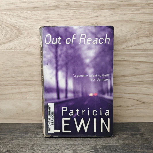 Out of Reach - Patricia Lewin รูปที่ 1