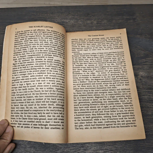 The Scarlet Letter - Nathaniel Hawthorne รูปที่ 7