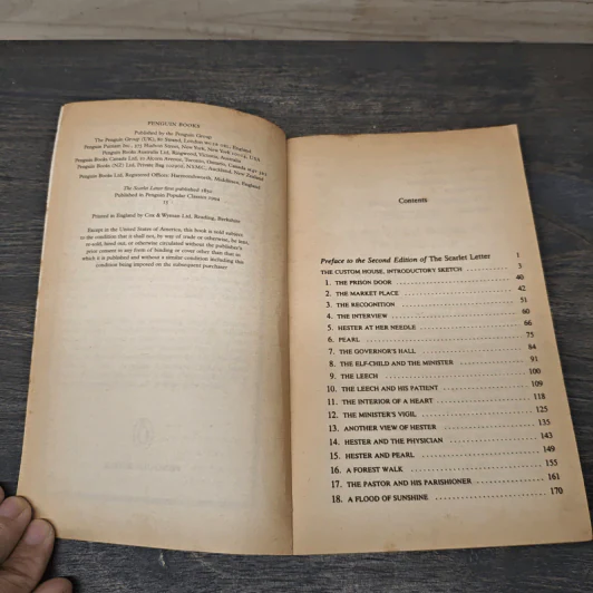 The Scarlet Letter - Nathaniel Hawthorne รูปที่ 6