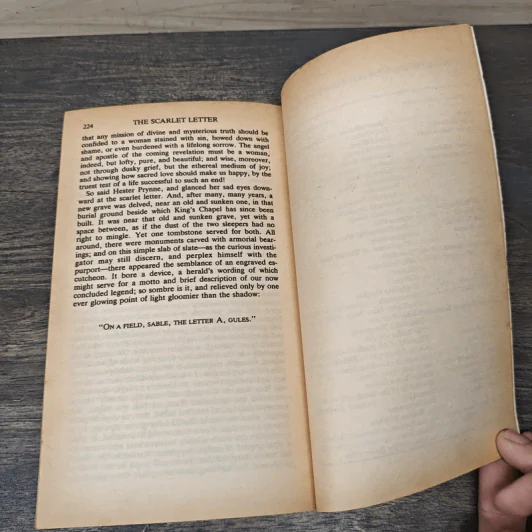 The Scarlet Letter - Nathaniel Hawthorne รูปที่ 8