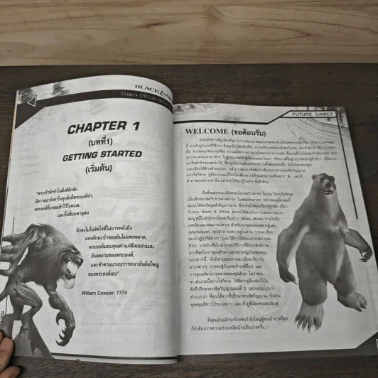 คู่มือเกม Black & White รูปที่ 6