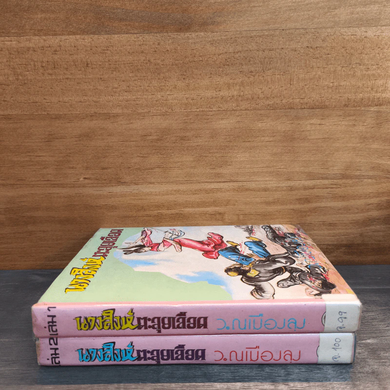 นางสิงห์ตะลุยเลือด 2 เล่มจบ - โป้วอั้งเสาะ, ว.ณ เมืองลุง รูปที่ 2