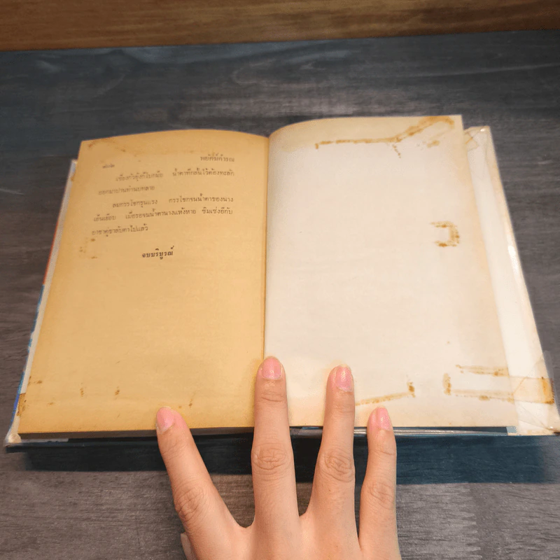 พยัคฆ์คำรน 2 เล่มจบ - ว.ณเมืองลุง รูปที่ 13